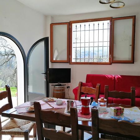 Apartmán Casa Pancole Il Tinello Cavriglia Exteriér fotografie